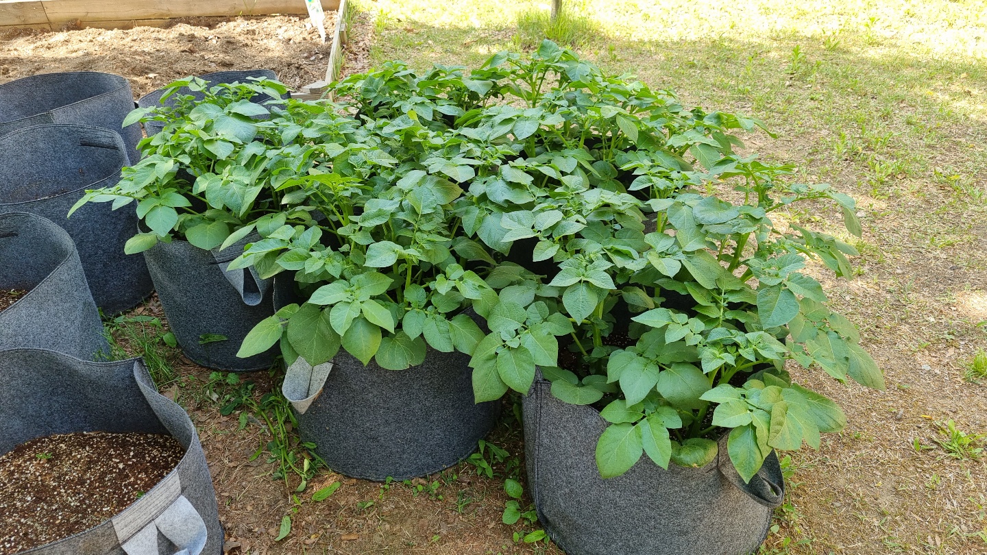 학교 텃밭이 생겼어요~